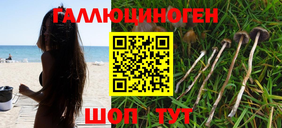 Псилоцибиновые грибы ЛСД  Вход с VPN  Псилоцибиновые грибы мухоморы  Скопин 