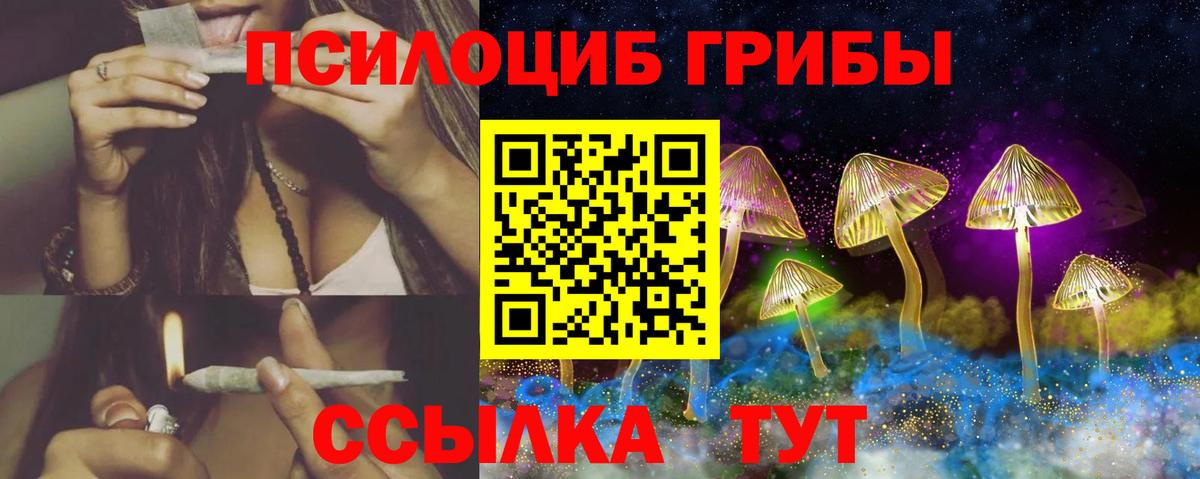 Псилоцибиновые грибы Psilocybine cubensis Скопин